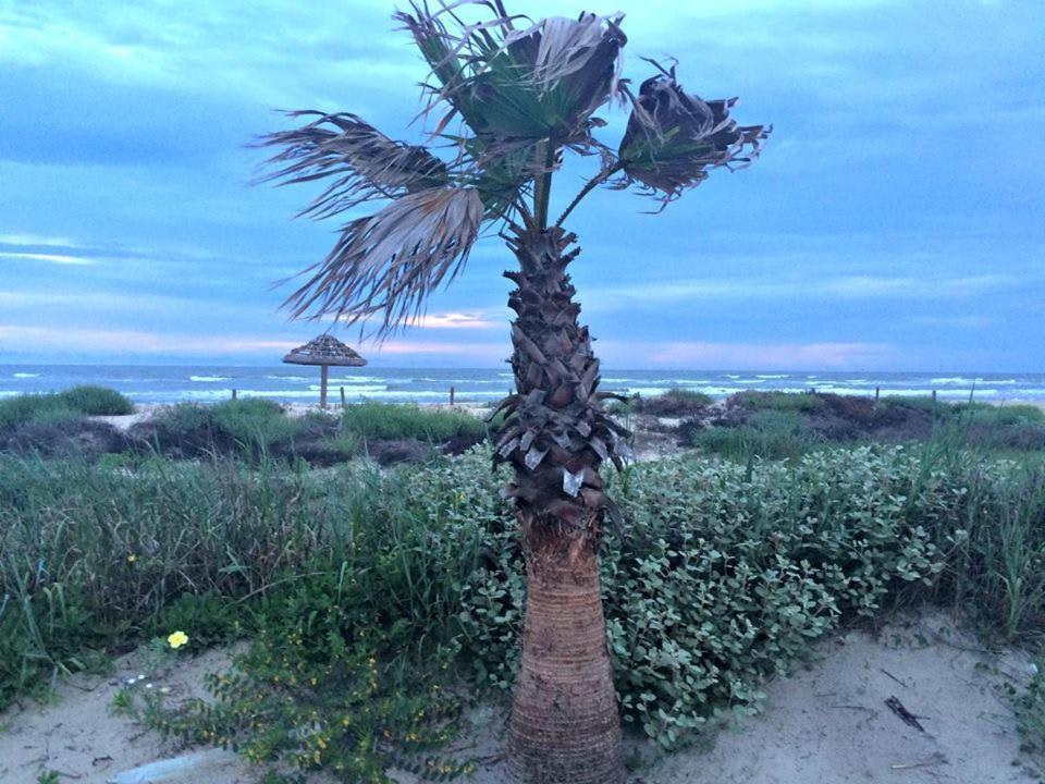 Unobstructed Oceanfront Sea Turtle Unit 2 Beach Pad! Surfside Beach Luaran gambar